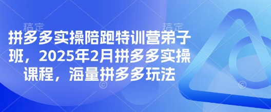 拼多多实操陪跑特训营弟子班，2025年2月拼多多实操课程，海量拼多多玩法_菜菜笔记