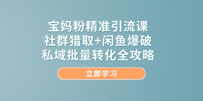 宝妈粉精准引流课，社群猎取+闲鱼爆破，私域批量转化全攻略_菜菜笔记