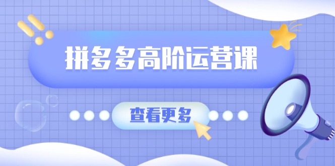 拼多多高阶运营课：极致群爆款玩法，轻付费无尽复制，打造单品爆款之路_菜菜笔记