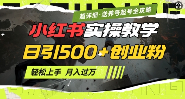 2月小红书最新日引500+创业粉实操教学【超详细】小白轻松上手，月入1W+，附小红书养号起号SOP2_菜菜笔记