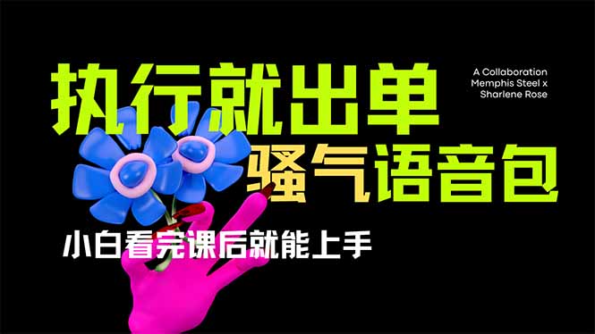 爆火全网的开车导航骚气语音包,只要执行就出单，小白看完课程就能实操…_菜菜笔记