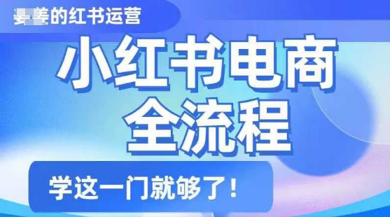 小红书电商全流程，精简易懂，从入门到精通，学这一门就够了_菜菜笔记