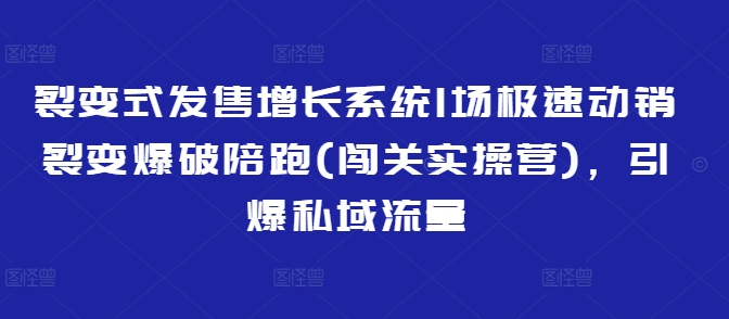 裂变式发售增长系统1场极速动销裂变爆破陪跑(闯关实操营)，引爆私域流量_菜菜笔记