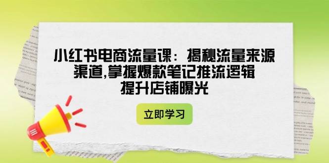 小红书电商流量课：揭秘流量来源渠道,掌握爆款笔记推流逻辑,提升店铺曝光_菜菜笔记