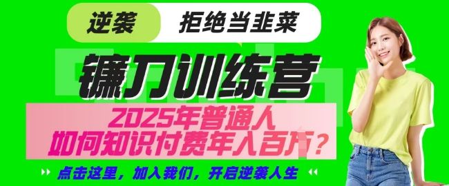 【网创项目终点站-镰刀训练营超级IP合伙人】25年普通人如何通过知识付费实现逆袭【揭秘】_菜菜笔记