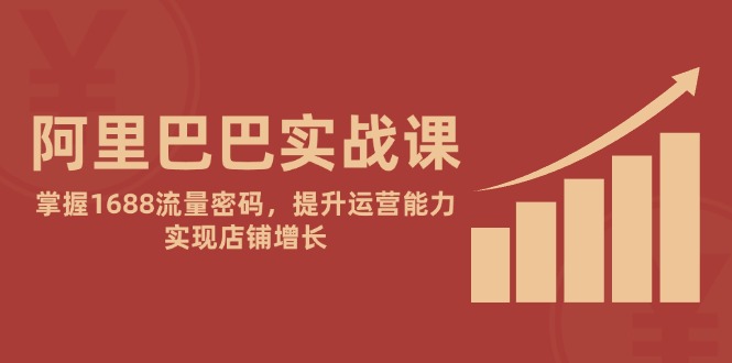 阿里巴巴实战课：掌握1688流量密码，提升运营能力，实现店铺增长_菜菜笔记