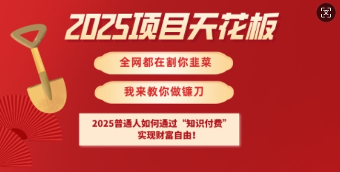 2025项目天花板普通人如何通过知识付费，实现财F自由【揭秘】_菜菜笔记