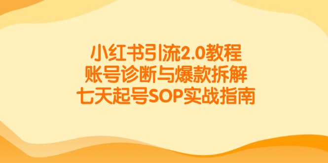 小红书引流2.0教程，账号诊断与爆款拆解，七天起号SOP实战指南_菜菜笔记