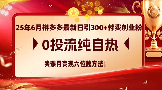 25年6月拼多多最新日引300+付费创业粉，0投流纯自热 卖课月变现六位数方法_菜菜笔记