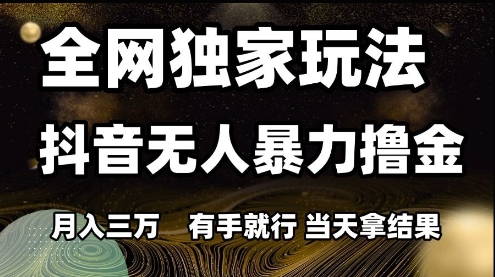 全网独家玩法抖音无人暴力撸金，月入3W，有手就行，当天拿结果【揭秘】_菜菜笔记