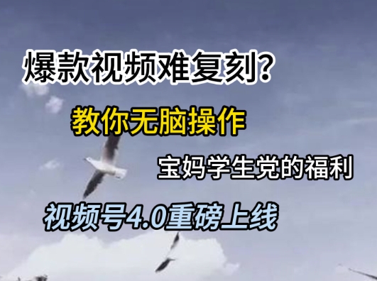 视频号4.0重磅上线，爆款视频难复刻？教你无脑操作宝妈学生党的福利【揭秘】_菜菜笔记