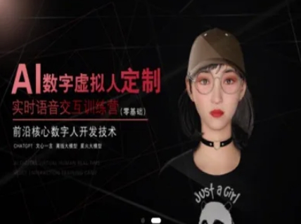 AI数字虚拟人定制，实时语音交互训练营(零基础)，前沿核心数字人开发技术_菜菜笔记