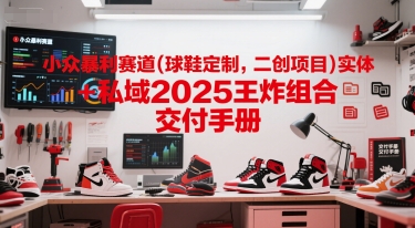 小众暴利赛道(球鞋定制，二创项目)实体+私域2025王炸组合  交付手册_菜菜笔记
