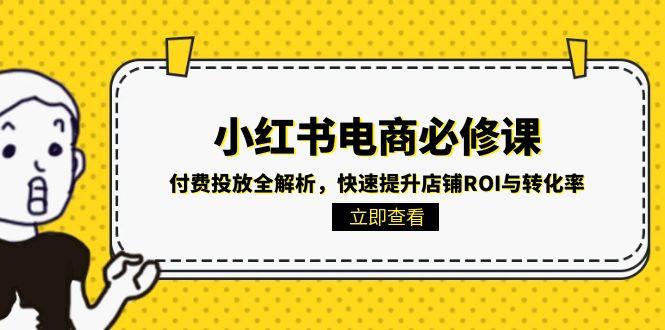 小红书电商必修课：付费投放全解析，快速提升店铺ROI与转化率_菜菜笔记
