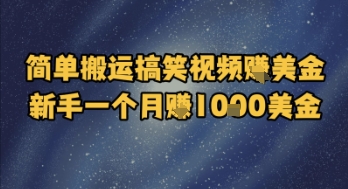 简单搬运搞笑视频挣美金，新手一个月入1k美金_菜菜笔记