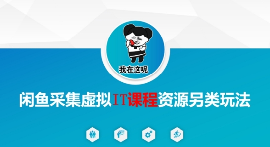 闲鱼采集虚拟IT课程资源另类玩法，干货满满_菜菜笔记
