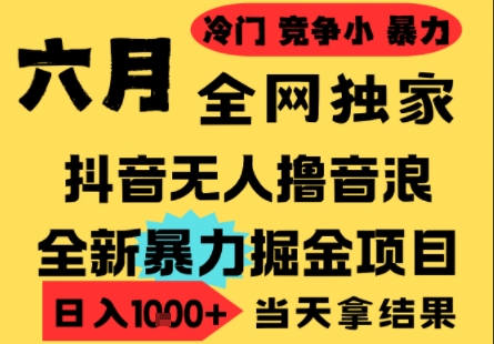 25年6月高爆抖音无人直播最新撸音浪掘金项目，小白可做，无脑日入1k+，门槛低可批量矩阵【揭秘】_菜菜笔记