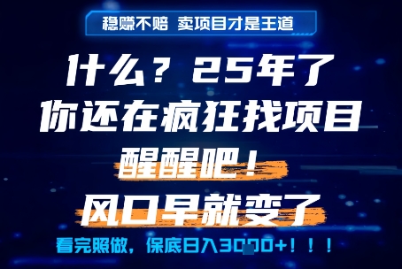 什么？25年你还在疯狂找项目做，醒醒吧，看完这些你全都懂了！【揭秘】_菜菜笔记