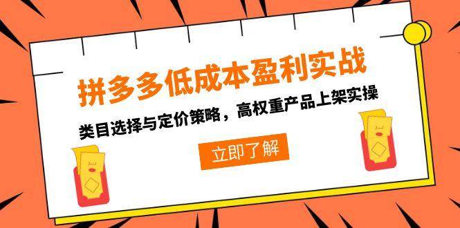 （15143期）拼多多低成本盈利实战，类目选择与定价策略，高权重产品上架实操_菜菜笔记