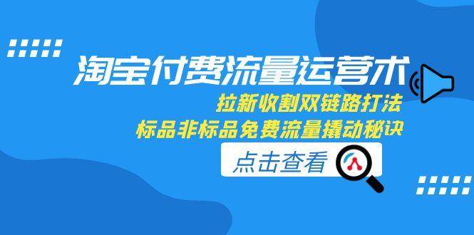 （15135期）淘宝付费流量运营术，拉新收割双链路打法，标品非标品免费流量撬动秘诀_菜菜笔记
