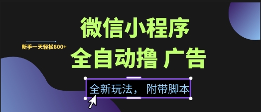微信小程序全自动撸广告项目，彻底解决没流量的问题，新手一天8张+【揭秘】_菜菜笔记