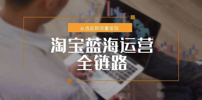（15160期）淘宝蓝海运营全链路，从选品到流量变现，小类目突围完整方案_菜菜笔记