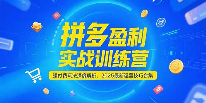 （15183期）拼多多盈利实战训练营，强付费玩法深度解析，2025最新运营技巧合集_菜菜笔记