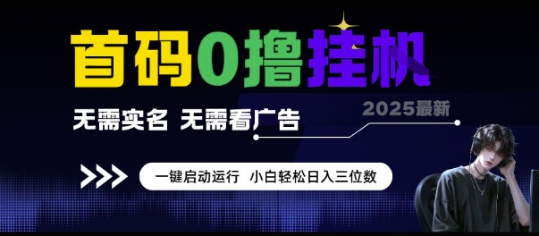 首码0撸挂G项目，无需实名无需看广告 一键启动运行，小白轻松日入三位数【揭秘】_菜菜笔记