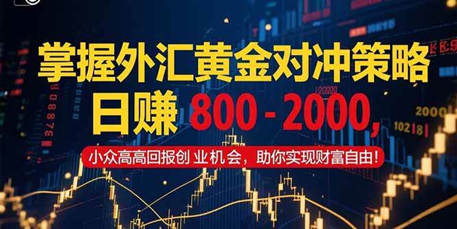 （15198期）掌握外汇黄金对冲策略，日赚 800 – 2000，小众高回报创业机会，助你实…_菜菜笔记