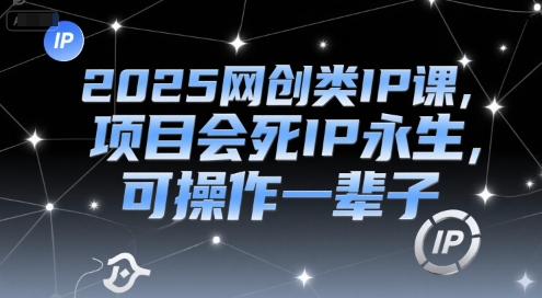 2025网创类IP课，项目会死IP永生，可操作一辈子_菜菜笔记