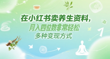 在小红书卖养生资料，月入四位数非常轻松，多种变现方式_菜菜笔记