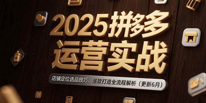 （15235期）2025拼多多运营实战：店铺定位选品技巧，爆款打造全流程解析（更新6月）_菜菜笔记