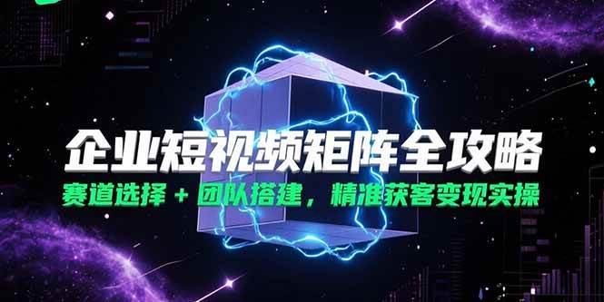 （15242期）企业短视频矩阵全攻略，赛道选择+团队搭建，精准获客变现实操_菜菜笔记