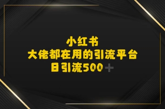 小红书，大佬都在用的大粉平台，日引流500+_菜菜笔记
