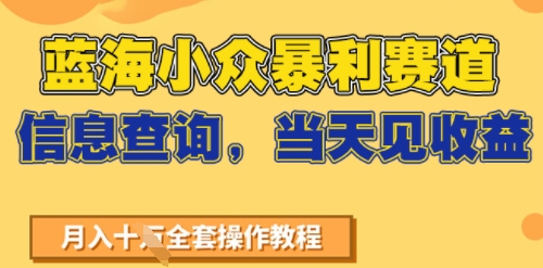 蓝海小众暴利赛道，信息查询，当天见收益，不讲玄学，7天搞了2W+_菜菜笔记