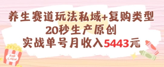 养生赛道玩法私域+复购类型，20秒生产原创实战单号月收入5k+_菜菜笔记
