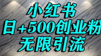 小红书无限引流创业粉，单人操作日引500+精准创业粉_菜菜笔记