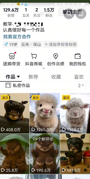 抖音65W博主AI萌宠课程，新赛道流量大，原创+二创，全套课程+提示词_菜菜笔记