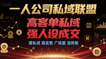 一人公司私域联盟，高客单私域，强人设成交，建私域 搞发售 广结盟 造势能_菜菜笔记