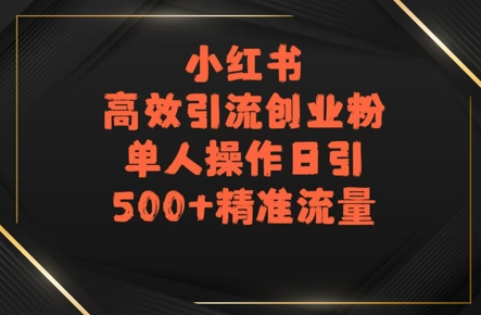 小红书高效引流创业粉，单人操作日引500+精准流量_菜菜笔记