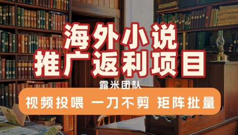 海外小说推广返利项目，视频投喂， 一刀不剪，矩阵批量_菜菜笔记