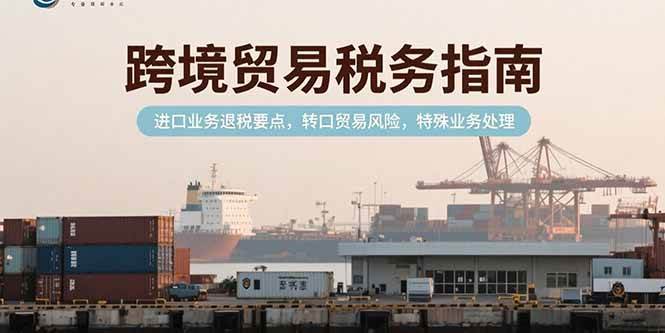 （15381期）跨境贸易税务指南，进口业务退税要点，转口贸易风险，特殊业务处理_菜菜笔记