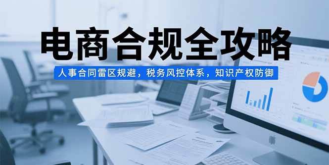 （15377期）电商合规全攻略，人事合同雷区规避，税务风控体系，知识产权防御_菜菜笔记
