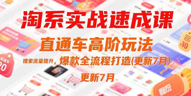 （15374期）淘系实战速成课，直通车高阶玩法，搜索流量提升，爆款全流程打造(更新7月)_菜菜笔记