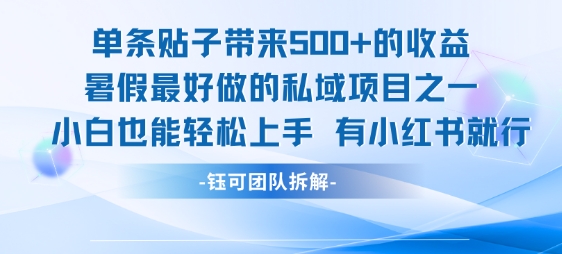 单条贴子带来5张的收益，暑假最好做的私域项目之一，小白也能轻松上手，有小红书就行_菜菜笔记