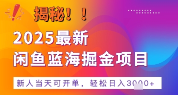 2025最新闲鱼蓝海掘金项目，新人当天可开单，轻松日入多张+的保姆级教程_菜菜笔记