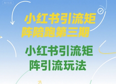 小红书引流矩阵陪跑第三期，小红书引流矩阵引流玩法_菜菜笔记