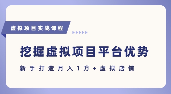 抓住虚拟项目各平台优势，新手轻松月入1W+(给出具体建议)_菜菜笔记
