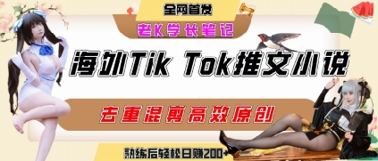 海外tiktok小说推文暴力项目，高停留率，高转化率，上手后一天搞顿饭钱不是问题_菜菜笔记