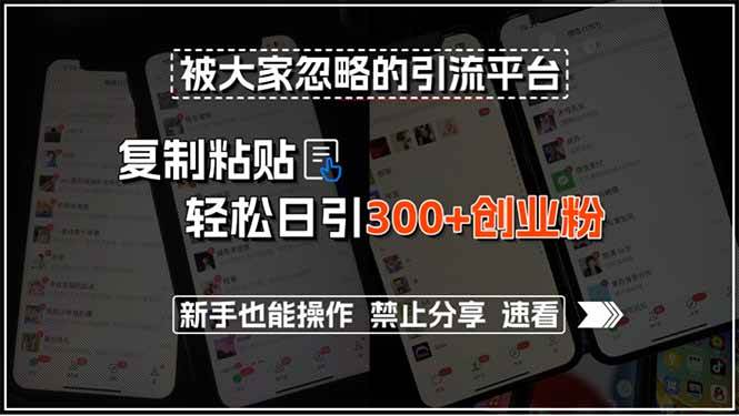 （15428期）被大家忽略的引流平台，复制粘贴轻松日引300+创业粉，新手也能操作，禁…_菜菜笔记
